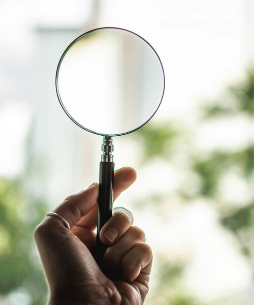 Eine Hand hält eine Lupe vor einem hellen, grünen Hintergrund ins Licht.